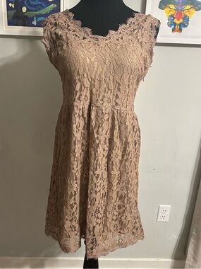 Soieblu Lace Overlay Dress Size Large